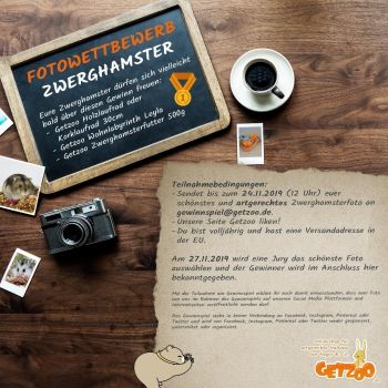 Fotowettbewerb-2019-November-Gewinnspiel-Zwerghamster-Gewinn