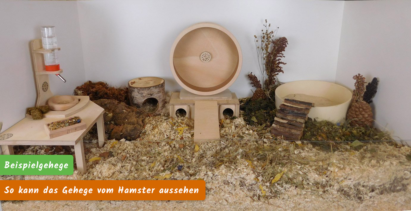 Hamster-Beispiel-Gehege-Einrichtung
