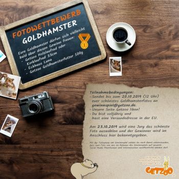 Fotowettbewerb-2019-Oktober-Gewinnspiel-Goldhamster-Gewinn