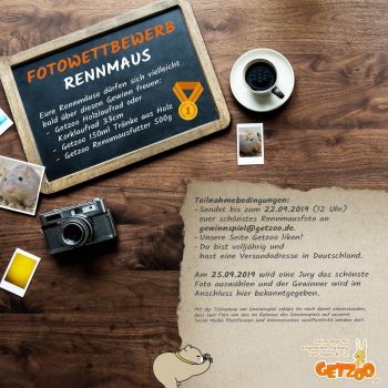Fotowettbewerb-2019-September-Gewinnspiel-Rennmaus